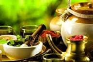 Therapies & Panchakarma